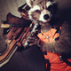 Illustration for article titled Rocket Raccoon Cosplay Is Best In Galaxy
